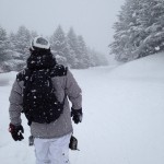 本年も宜しくお願い致します(今年は歳男です!)